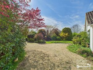 Drive- click for photo gallery